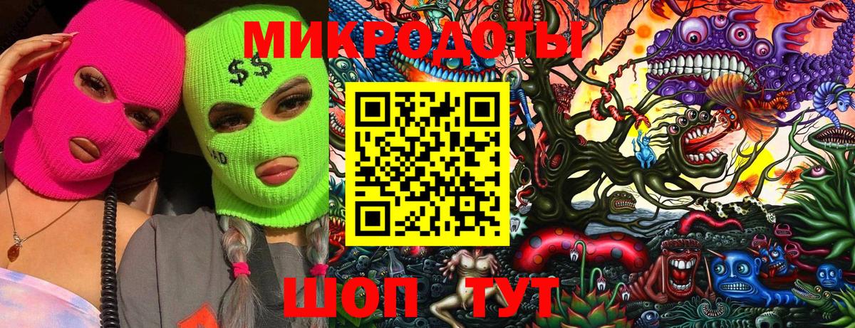 Новозыбков  Псилоцибиновые грибы Cubensis  Вход с VPN  что такое   Псилоцибиновые грибы Cubensis 