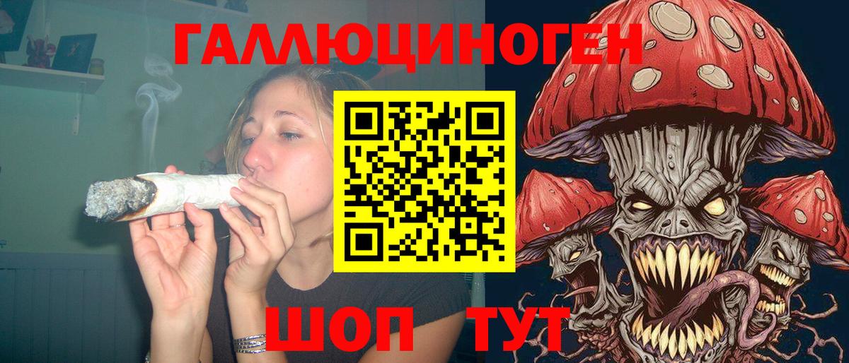 Псилоцибиновые грибы прущие грибы Новозыбков